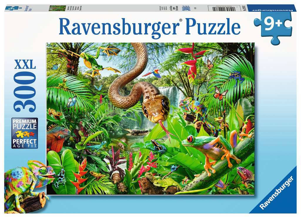 Ravensburger
