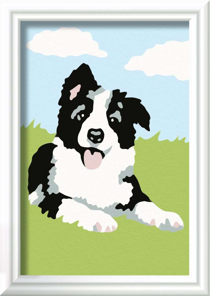 CreArt Kids 8,5x12cm - Border Collie