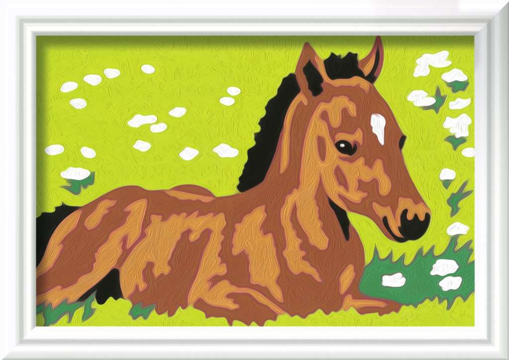 CreArt Kids 8,5x12cm - Poulain