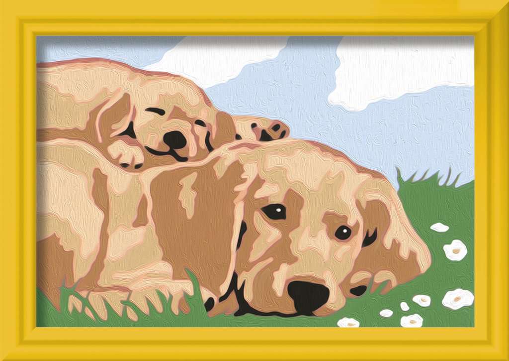 CreArt Kids 8,5x12cm - Labradors