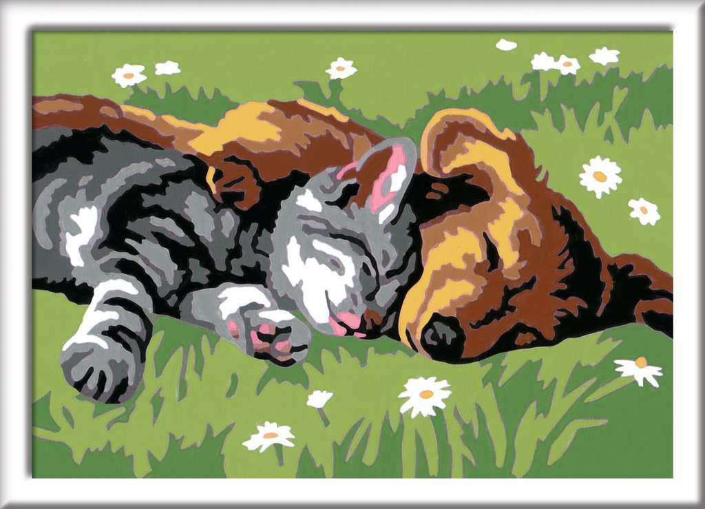 Ravensburger Creart Paint By Numbers - Sleeping Cats And Dogs