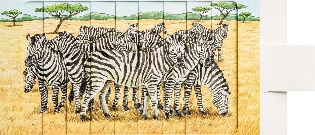 Why? Why? Why? (Special Edition): Animals – Ravensburger Foreign