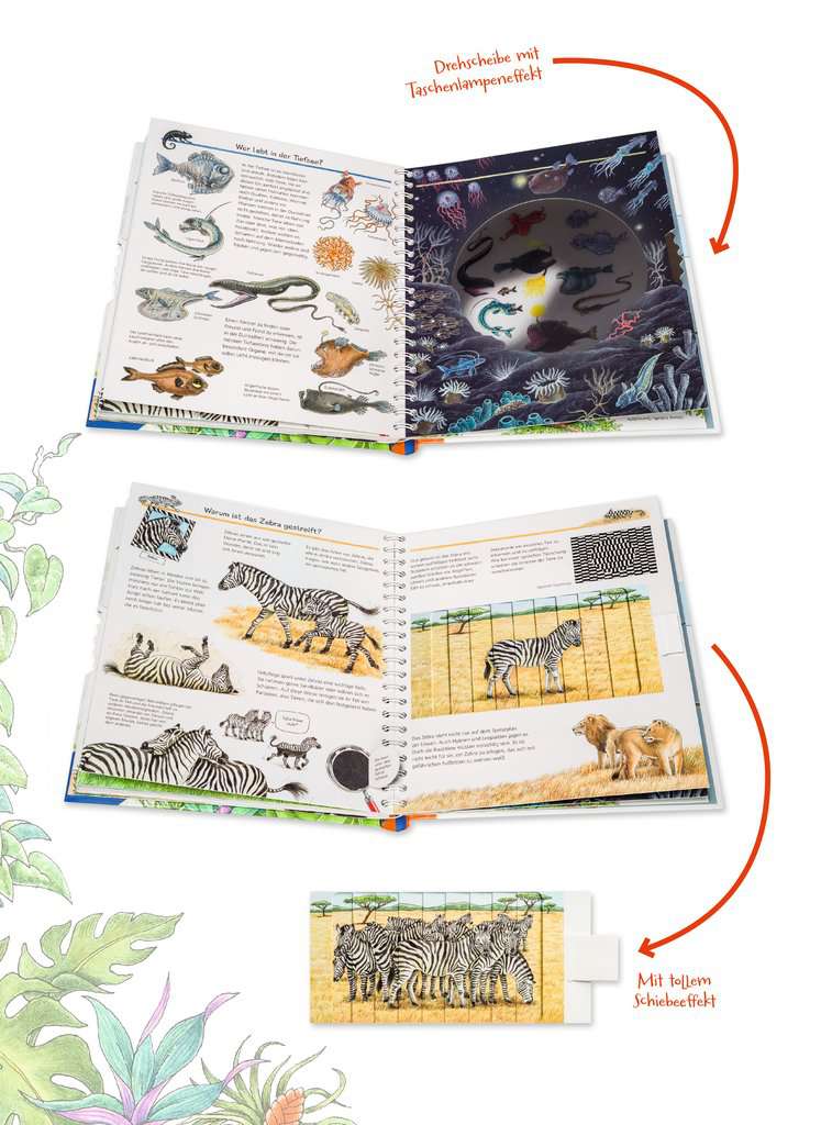 Why? Why? Why? (Special Edition): Animals – Ravensburger Foreign