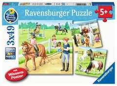 Go to Why? Why? Why? Jigsaw Puzzle A Day at the Riding School