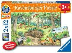 Go to Why? Why? Why? Jigsaw Puzzle Animals in Forests and Meadows