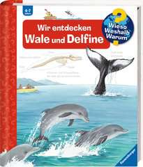 Go to Why? Why? Why? (Vol. 41): Exploring Whales and Dolphins