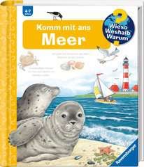 Go to Why? Why? Why? (Vol. 17): Come to the Sea