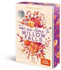 Go to Willow Falls Series (Vol. 1): Take Me Home to Willow Falls