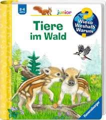 Go to Why? Why? Why? Junior (Vol. 77): Forest Animals