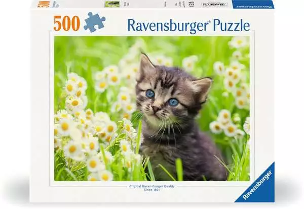 Ravensberger Matratzen Puzzle 500 Teile - Kätzchen in der Wiese