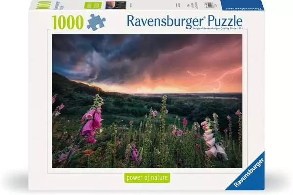 Ravensberger Matratzen Puzzle 1000 Teile - Ein Sturm zieht auf